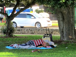 Homeless man in Ala Moana Park, Honolulu, Hawaaii