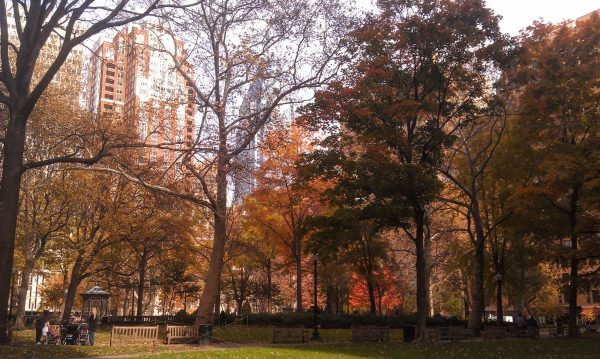 Fall foliage in Philadelphia's Rittenhouse Square.