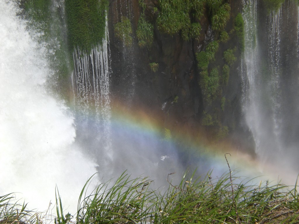 Iguazu Falls National Park from San Martin Island