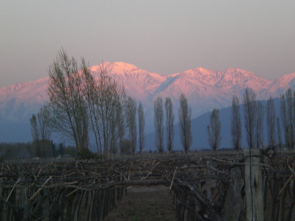 Las Cavas Wine Lodge, Outside Mendoza, Argentina