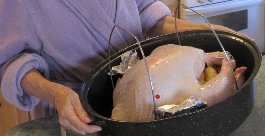 Turkey Ready for the Oven