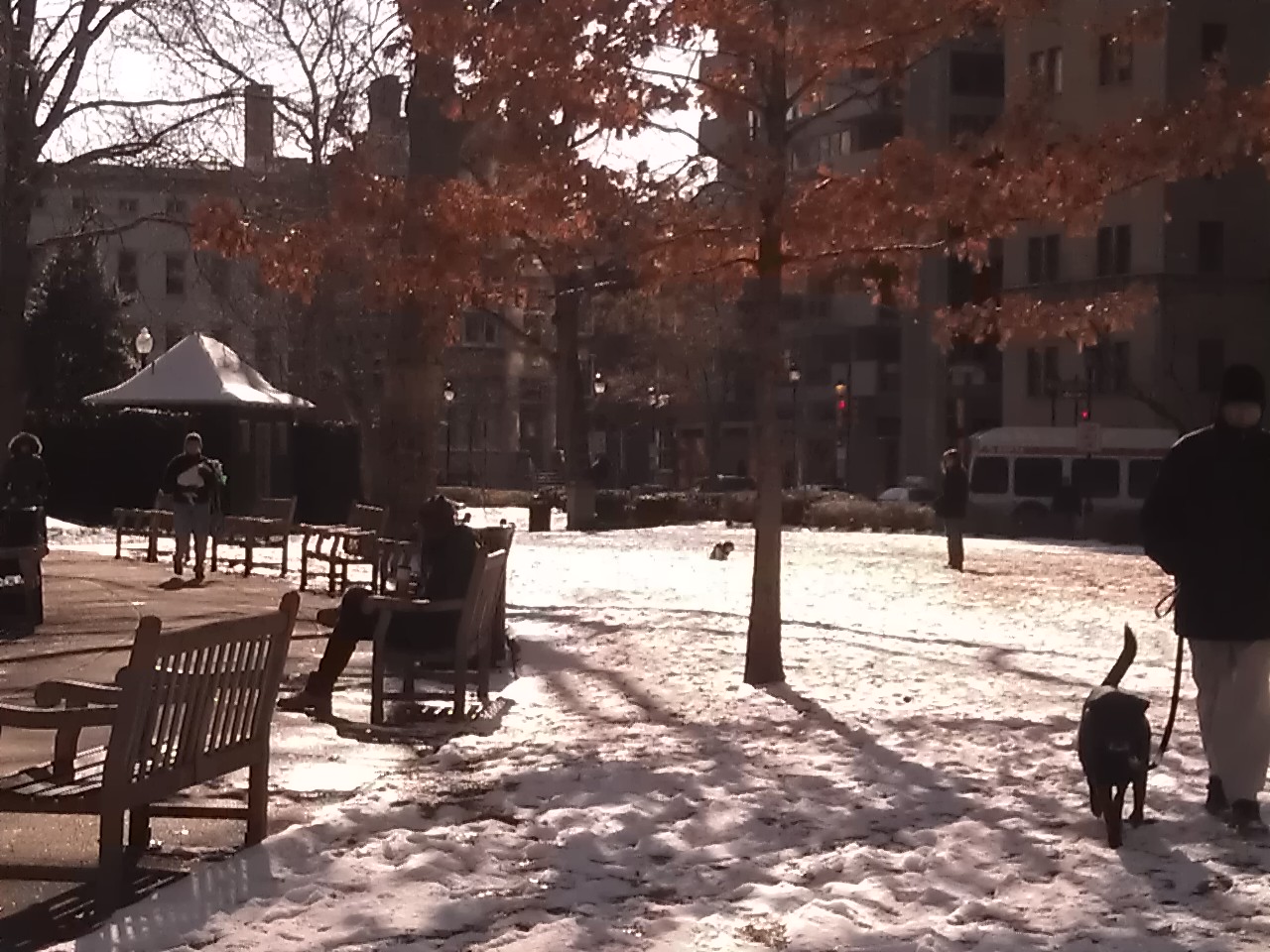 February scene, Rittenhouse Square, Philadelphia