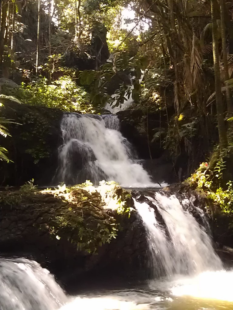 Waterfall, Hawaii Tropical Botanical Garden, Hilo, Hawaii