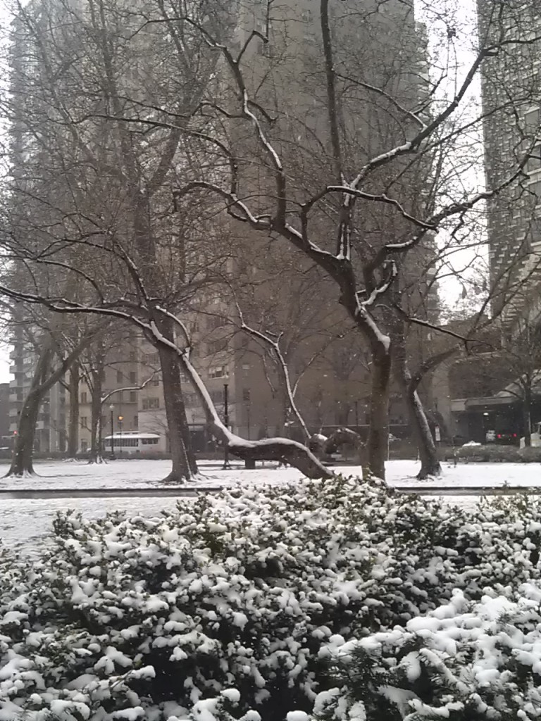 Rittenhouse Square, Philadelphia, In Winter