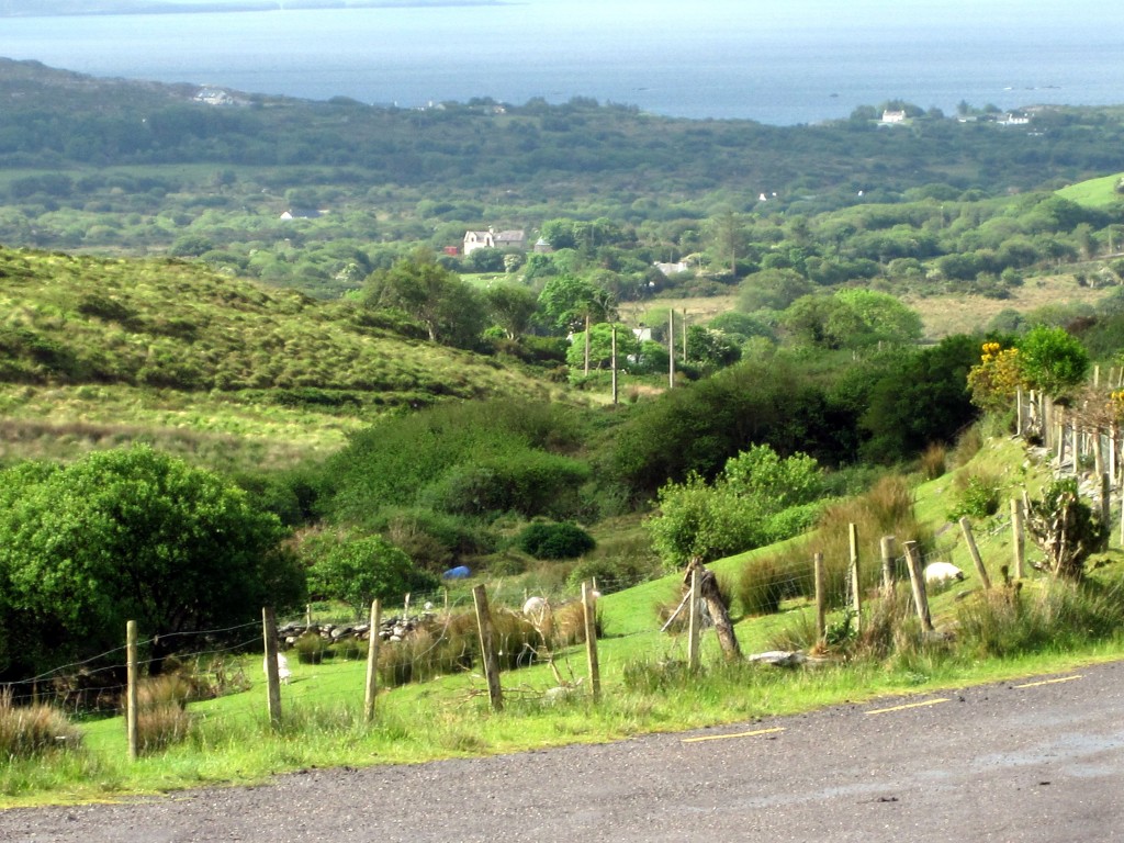 Scenic view while driving the Ring of Kerry