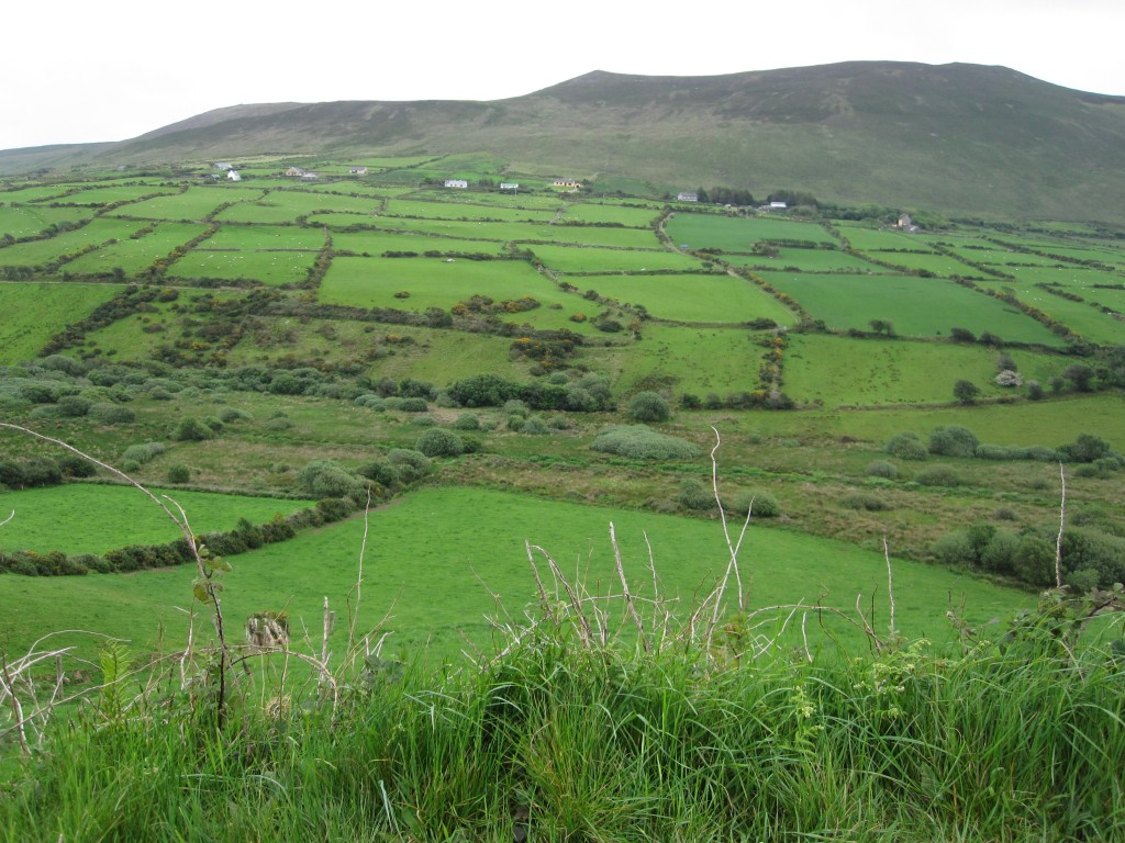Scenic view from the Ring of Kerry in Ireland