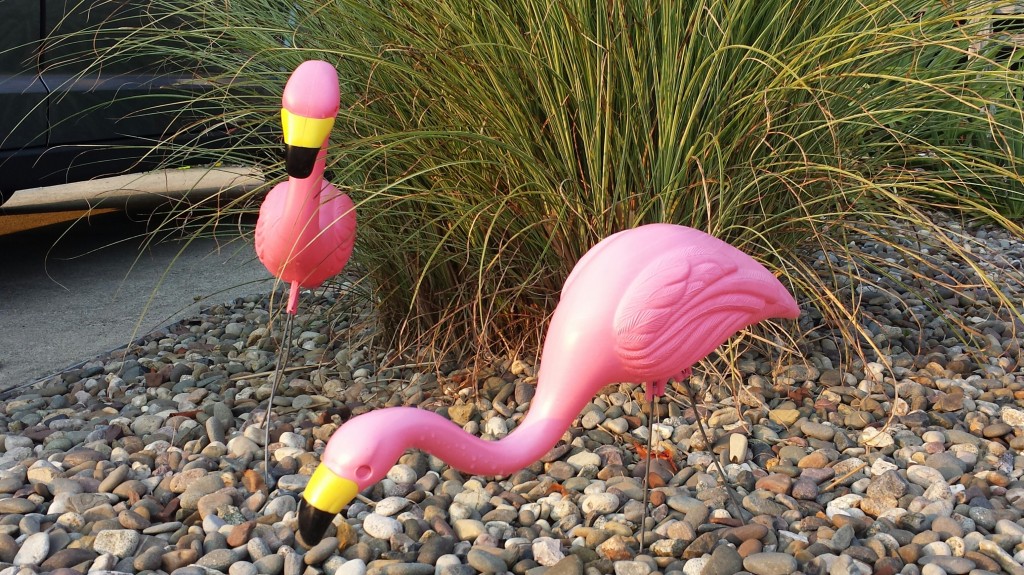 Pink flamingo lawn ornaments