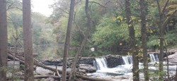 Waterfall in Wissahickon Creek, Philadelphia