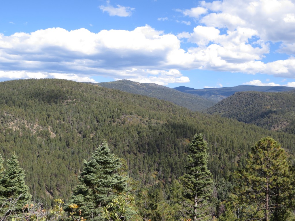 Carson National Forest on the High Road to Taos Scenic Byway