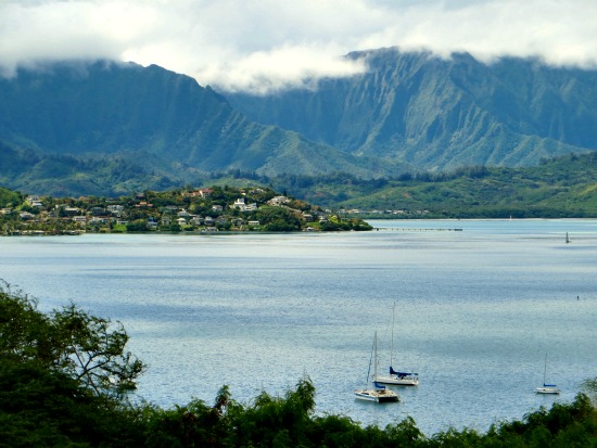 Windward Side Scenery on Oahu