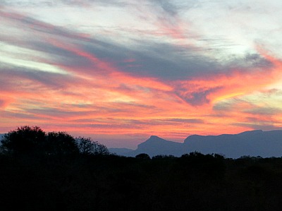 Sunset in the Thornybush Private game Reserve over the drakensberg mountains