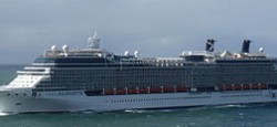 The Celebrity Silhouette