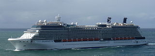 The Celebrity Silhouette