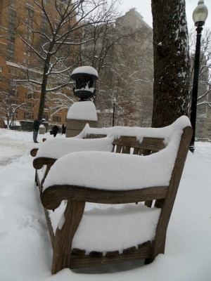 Rittenhouse Square (Center City Phildaelphia) park bench during the Blizzard of 2016