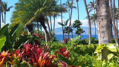 View from the Hyatt Regency Resort and Spa, Maui, Hawaii with the island of Lanai in the distance