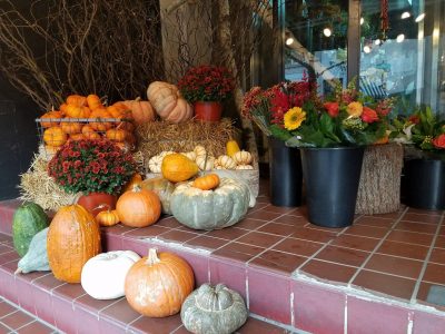 You can still buy pumpkins and gourds in Philly.