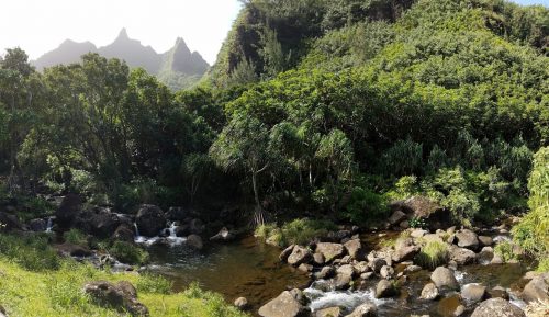 Limahuli Botanic Garden and Preserve on the north shore of Kauai