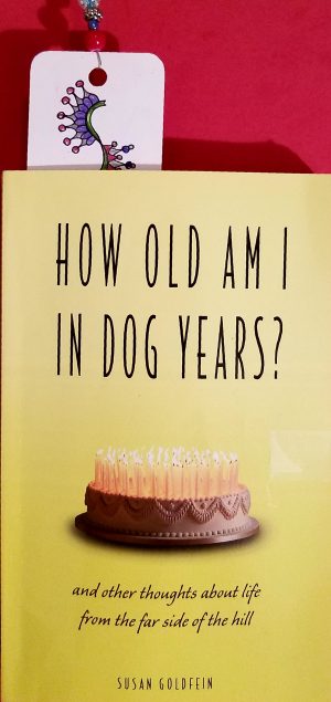 How Old Am I In Dog Years by Susan Goldfein book review