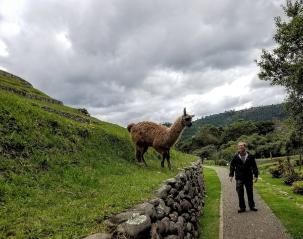 Steve and alpaca, Cuenca, Ecuador