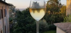 Glass of wine in Orvieto, Italy