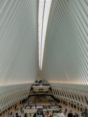 The World Trade Center Transportation Hub, the Oculus