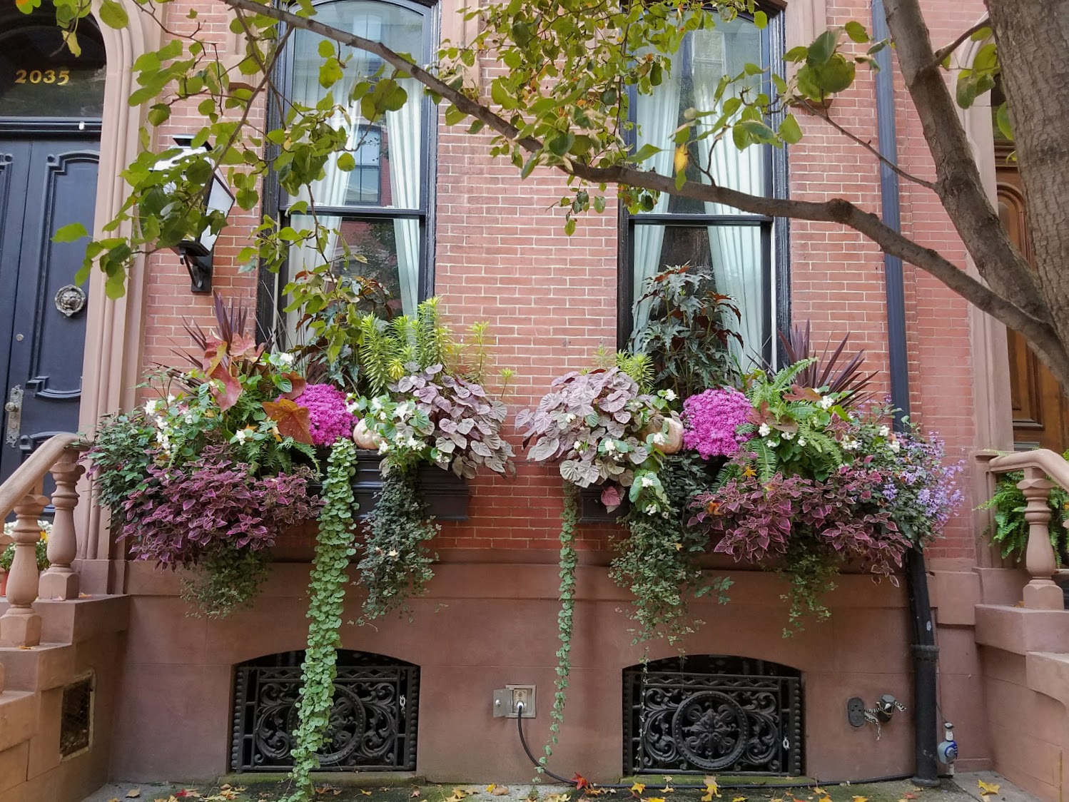 Rittenhouse Square flower boxes, Philadelphia