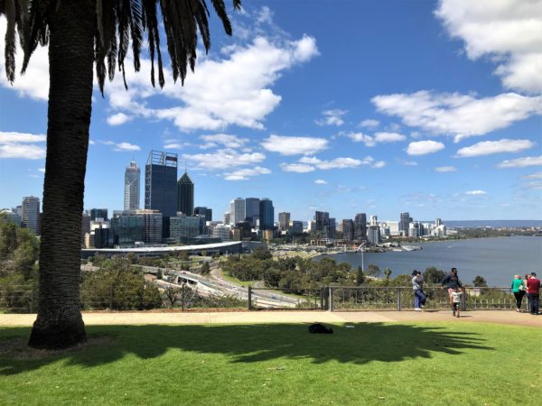 Perth CBD and Swan River from Kings Park