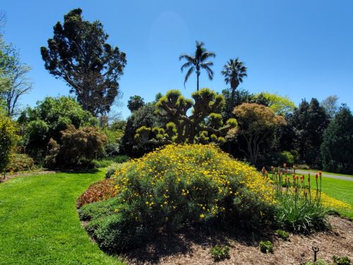 Royal Botanic Garden, Melbourne, Australia